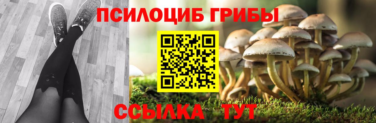 Елабуга  Галлюциногенные грибы Cubensis  Вход с VPN  Галлюциногенные грибы MAGIC MUSHROOMS 