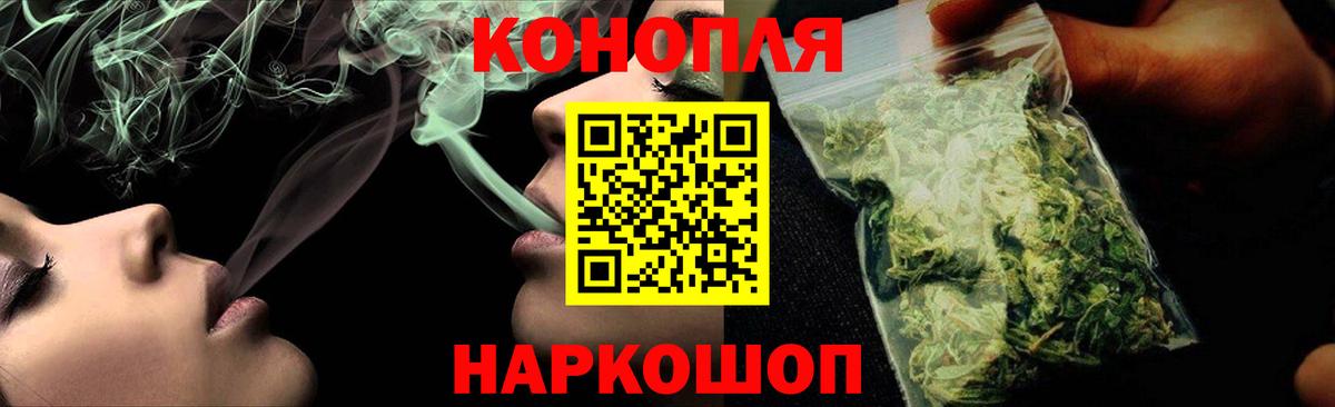 Бошки Шишки MAZAR  Бошки Шишки планчик  Елабуга  Вход с VPN  Бошки Шишки семена 